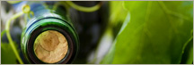 Welcome to Los Olivos Wine Tours